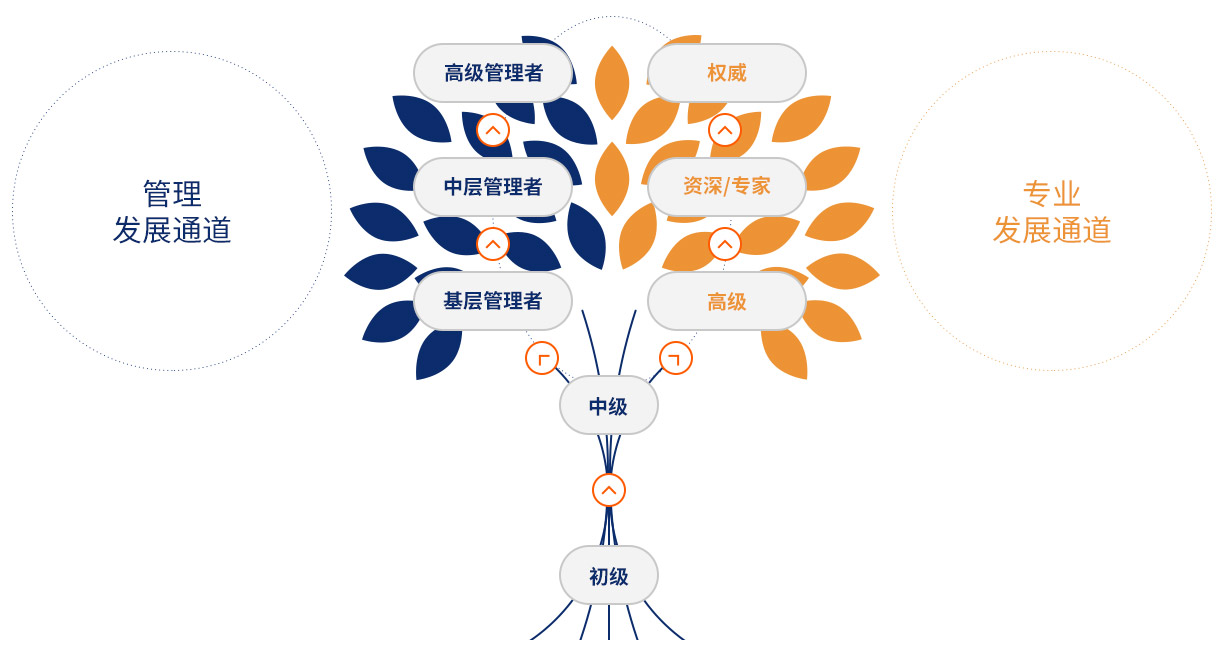 星空娱乐(中国区) - 官方网站